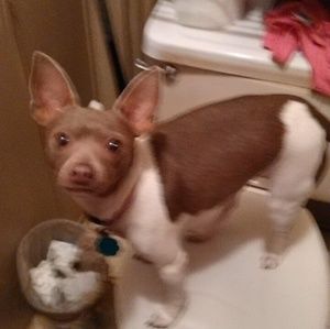 Meet your Posher, Angela